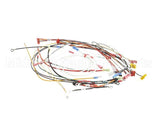 0700915 Antunes Wire Set, Horz Ir Toaster