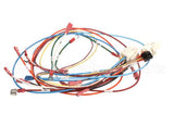 0700926 Antunes Wire Set Control Board