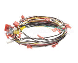 0700931 Antunes Wire Set, Cfa Ir Toaster