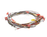 0700931 Antunes Wire Set, Cfa Ir Toaster