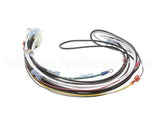 0700938 Antunes Wire Harness 48 Cinnibon