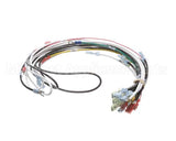 0700938 Antunes Wire Harness 48 Cinnibon