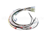 0700938 Antunes Wire Harness 48 Cinnibon