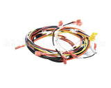 0700975 Antunes Wire Set, Dual Eggstation