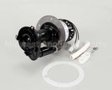 07097.0000 Bunn Pump Motor Kit, 120V 60Hz