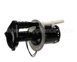 07097.0008 Bunn Pump Motor Kit, 240V 50Hz
