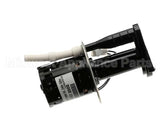 07097.0008 Bunn Pump Motor Kit, 240V 50Hz