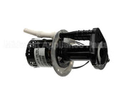 07097.0008 Bunn Pump Motor Kit, 240V 50Hz