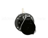 07097.0008 Bunn Pump Motor Kit, 240V 50Hz