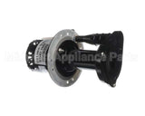 07097.7000 Bunn Pump & Motor Kit, 120V 60Hz