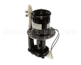 07097.7002 Bunn Bunn-O-Matic Pump Assy Complete 120V(60H