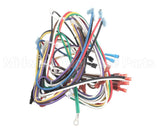 072075 Grindmaster Cecilware Harness Non-Shutter Wiring