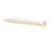 079917 Dynamic Mixer Toles Screw Tfb 7X38 Pozidriv