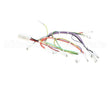 08.CC0004115 Grindmaster Cecilware Lola Wiring Harness