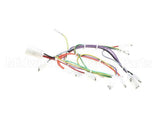 08.CC0004115 Grindmaster Cecilware Lola Wiring Harness