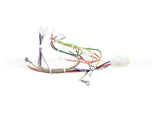 08.CC0004115 Grindmaster Cecilware Lola Wiring Harness