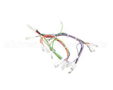 08.CC0004115 Grindmaster Cecilware Lola Wiring Harness