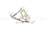 08.CC0004115 Grindmaster Cecilware Lola Wiring Harness