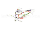 08.CC0004115 Grindmaster Cecilware Lola Wiring Harness