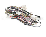 08.GC0012.001 Grindmaster Cecilware Sp2 Etl Harness