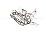 08.GT0001110 Grindmaster Cecilware Gt1 11560 Etl Harness
