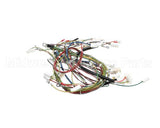 08.HU0013115 Grindmaster Cecilware Karma 11560 Harness