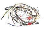 08.IP0017115 Grindmaster Cecilware Wiring
