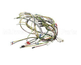 08.KE0001115 Grindmaster Cecilware Ksoft 11560 Main Harness