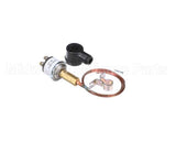 085088 Electrolux Professional Pressure Switch