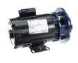 088-1088 American Dish Service Pump Assy, Water-1 1/2 Hp