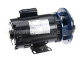 088-1088 American Dish Service Pump Assy, Water-1 1/2 Hp