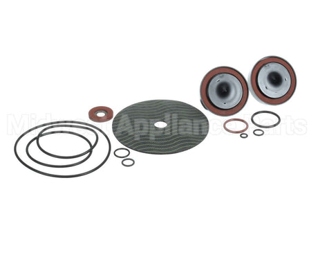 0887309 Watts Repair Kit 009M2 Rt11/411