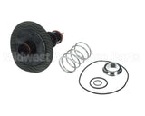 0887545 Watts Rk009M2-Vt,Relief Vlv Kit 2"