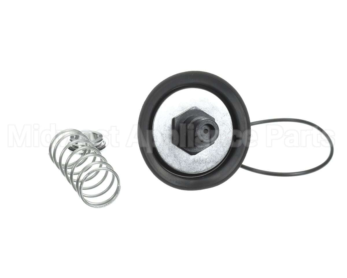 0887785 Watts Rk009M2Vt 1" Repair Kit
