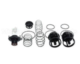 0888169 Watts 919 1" Repair Kit