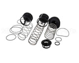 0888171 Watts Rk919T-2 Repair Kit