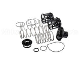 0888171 Watts Rk919T-2 Repair Kit