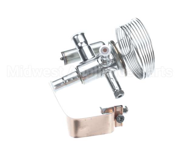 089993 Electrolux Professional Valvole
