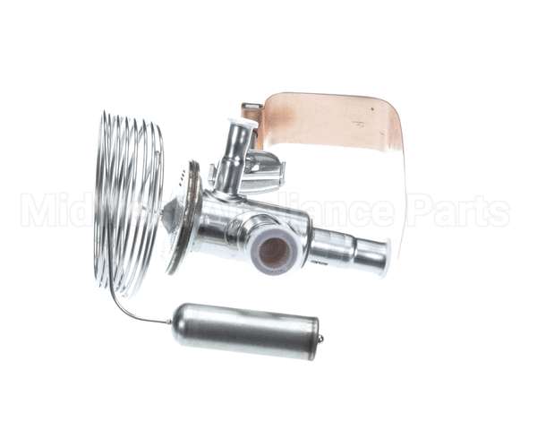 089993 Electrolux Professional Valvole