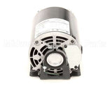 09000342 Glastender Pump Motor, 1/3 Hp, 220V