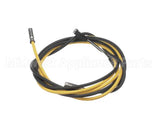 092181 Electrolux Professional Probe; 6X20; Yellow/Black;800/2000Mm