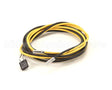 092188 Electrolux Professional Probe; 6X20;Yellow/Black; L=2000Mm