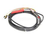 092705 Electrolux Professional Core Probe, 3 Point