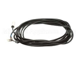 093441 Electrolux Professional Probe