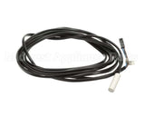 093441 Electrolux Professional Probe