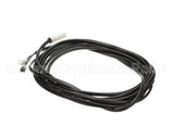 093441 Electrolux Professional Probe