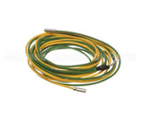 093442 Electrolux Professional Probe