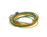 093442 Electrolux Professional Probe