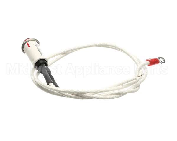 09917 Dinex Pilot Light
