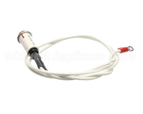 09917 Dinex Pilot Light